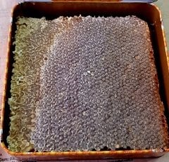 organik Petekli Balı 2kg
