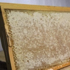 rganik Petek Balı 3,3kg ÜCRETSİZ KARGO