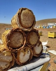 Organik Kara kovan Sepet Balı 1,5kg ÜCRETSİZ KARGO