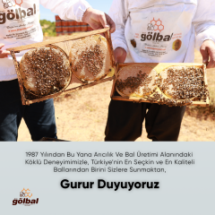 ORGANİK POLİFLORALI  (ÇOK ÇİÇEKLİ) BAL1 x 850 GR