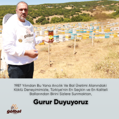 Organik  Süzme Çiçek Balı 3 x 850  Kg.