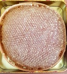 Organik Karakovan Kekik Balı 1,5 kg - Ücretsiz Kargo