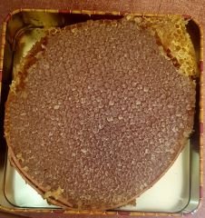 Organik Karakovan Kekik Balı 1,5 kg - Ücretsiz Kargo