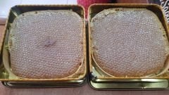 Organik Karakovan Kekik Balı 1,5 kg - Ücretsiz Kargo